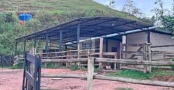 Fazenda 206 alqueires, beirando Rio São João e BR 101 com 2 km Fazenda 206 alqueires, beirando Rio São João e BR 101 com 2 km