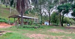 Fazenda 206 alqueires, beirando Rio São João e BR 101 com 2 km Fazenda 206 alqueires, beirando Rio São João e BR 101 com 2 km