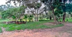 Fazenda 206 alqueires, beirando Rio São João e BR 101 com 2 km Fazenda 206 alqueires, beirando Rio São João e BR 101 com 2 km