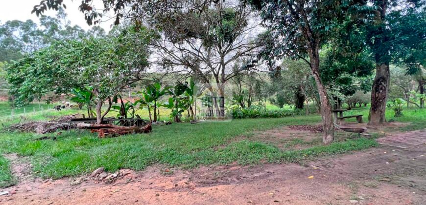 Fazenda 206 alqueires, beirando Rio São João e BR 101 com 2 km Fazenda 206 alqueires, beirando Rio São João e BR 101 com 2 km