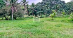 Fazenda 206 alqueires, beirando Rio São João e BR 101 com 2 km Fazenda 206 alqueires, beirando Rio São João e BR 101 com 2 km