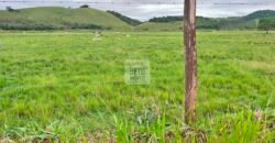 Fazenda 206 alqueires, beirando Rio São João e BR 101 com 2 km Fazenda 206 alqueires, beirando Rio São João e BR 101 com 2 km