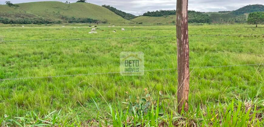 Fazenda 206 alqueires, beirando Rio São João e BR 101 com 2 km Fazenda 206 alqueires, beirando Rio São João e BR 101 com 2 km