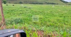 Fazenda 206 alqueires, beirando Rio São João e BR 101 com 2 km Fazenda 206 alqueires, beirando Rio São João e BR 101 com 2 km