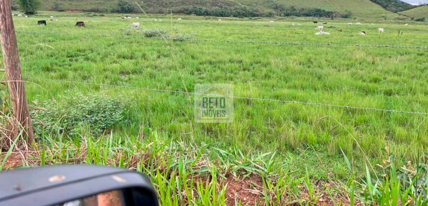 Fazenda 206 alqueires, beirando Rio São João e BR 101 com 2 km Fazenda 206 alqueires, beirando Rio São João e BR 101 com 2 km