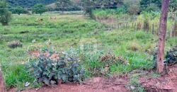 Fazenda 206 alqueires, beirando Rio São João e BR 101 com 2 km Fazenda 206 alqueires, beirando Rio São João e BR 101 com 2 km