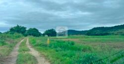 Fazenda 206 alqueires, beirando Rio São João e BR 101 com 2 km Fazenda 206 alqueires, beirando Rio São João e BR 101 com 2 km