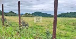 Fazenda 206 alqueires, beirando Rio São João e BR 101 com 2 km Fazenda 206 alqueires, beirando Rio São João e BR 101 com 2 km