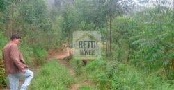 Fazenda/Sítio à Venda, 242.000 m² Trajano de Moraes por R$ 500.000 Fazenda/Sítio à Venda, 242.000 m² Trajano de Moraes por R$ 500.000