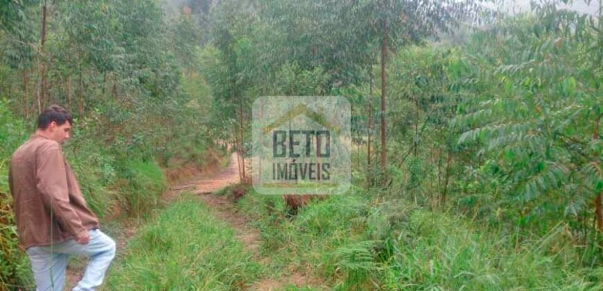 Fazenda/Sítio à Venda, 242.000 m² Trajano de Moraes por R$ 500.000 Fazenda/Sítio à Venda, 242.000 m² Trajano de Moraes por R$ 500.000