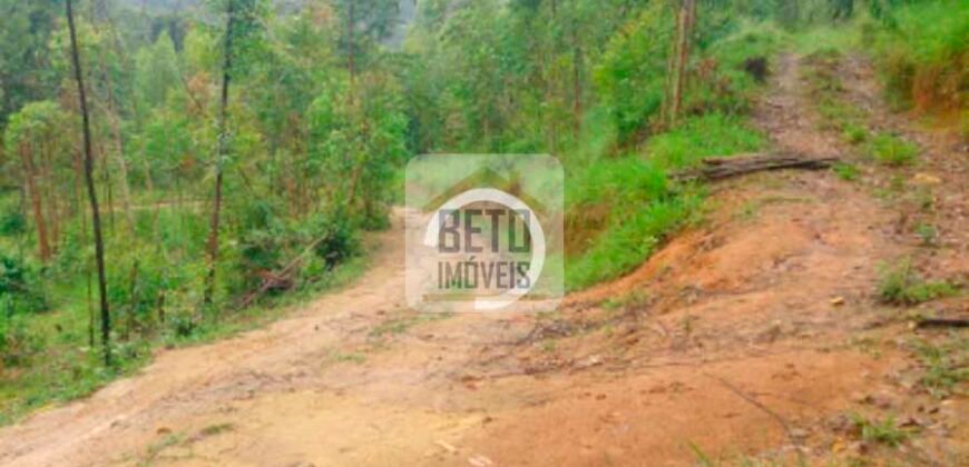 Fazenda/Sítio à Venda, 242.000 m² Trajano de Moraes por R$ 500.000 Fazenda/Sítio à Venda, 242.000 m² Trajano de Moraes por R$ 500.000