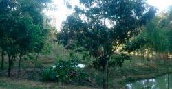 Fazenda/Sítio à Venda, 242.000 m² Trajano de Moraes por R$ 500.000 Fazenda/Sítio à Venda, 242.000 m² Trajano de Moraes por R$ 500.000