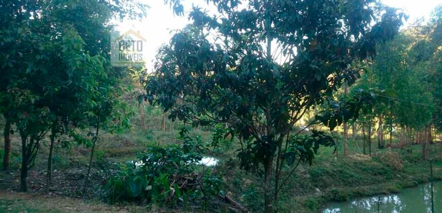 Fazenda/Sítio à Venda, 242.000 m² Trajano de Moraes por R$ 500.000 Fazenda/Sítio à Venda, 242.000 m² Trajano de Moraes por R$ 500.000