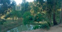 Fazenda/Sítio à Venda, 242.000 m² Trajano de Moraes por R$ 500.000 Fazenda/Sítio à Venda, 242.000 m² Trajano de Moraes por R$ 500.000