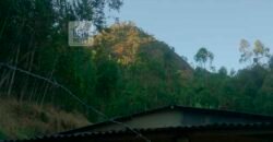 Fazenda/Sítio à Venda, 242.000 m² Trajano de Moraes por R$ 500.000 Fazenda/Sítio à Venda, 242.000 m² Trajano de Moraes por R$ 500.000