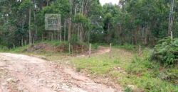 Fazenda/Sítio à Venda, 242.000 m² Trajano de Moraes por R$ 500.000 Fazenda/Sítio à Venda, 242.000 m² Trajano de Moraes por R$ 500.000