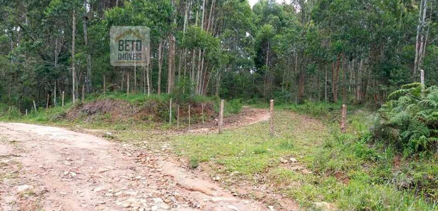 Fazenda/Sítio à Venda, 242.000 m² Trajano de Moraes por R$ 500.000 Fazenda/Sítio à Venda, 242.000 m² Trajano de Moraes por R$ 500.000