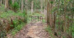 Fazenda/Sítio à Venda, 242.000 m² Trajano de Moraes por R$ 500.000 Fazenda/Sítio à Venda, 242.000 m² Trajano de Moraes por R$ 500.000