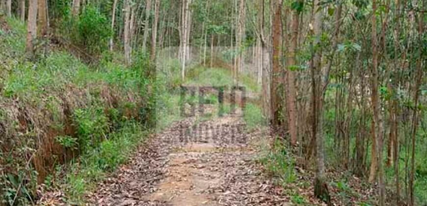 Fazenda/Sítio à Venda, 242.000 m² Trajano de Moraes por R$ 500.000 Fazenda/Sítio à Venda, 242.000 m² Trajano de Moraes por R$ 500.000