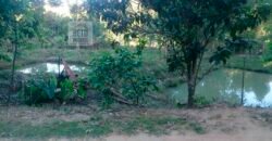 Fazenda/Sítio à Venda, 242.000 m² Trajano de Moraes por R$ 500.000 Fazenda/Sítio à Venda, 242.000 m² Trajano de Moraes por R$ 500.000