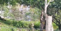 Fazenda/Sítio à Venda, 242.000 m² Trajano de Moraes por R$ 500.000 Fazenda/Sítio à Venda, 242.000 m² Trajano de Moraes por R$ 500.000