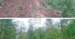 Fazenda/Sítio à Venda, 242.000 m² Trajano de Moraes por R$ 500.000 Fazenda/Sítio à Venda, 242.000 m² Trajano de Moraes por R$ 500.000