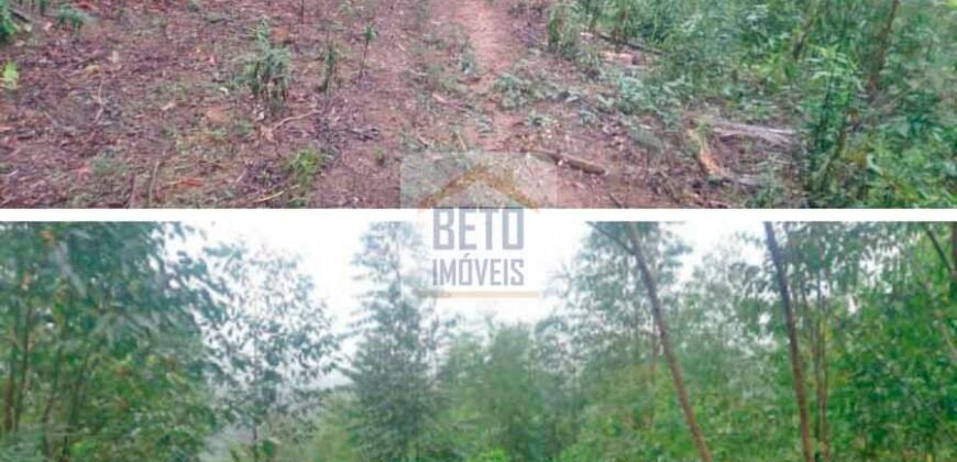 Fazenda/Sítio à Venda, 242.000 m² Trajano de Moraes por R$ 500.000 Fazenda/Sítio à Venda, 242.000 m² Trajano de Moraes por R$ 500.000