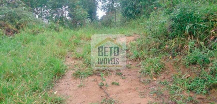 Fazenda/Sítio à Venda, 242.000 m² Trajano de Moraes por R$ 500.000 Fazenda/Sítio à Venda, 242.000 m² Trajano de Moraes por R$ 500.000