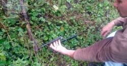 Fazenda/Sítio à Venda, 242.000 m² Trajano de Moraes por R$ 500.000 Fazenda/Sítio à Venda, 242.000 m² Trajano de Moraes por R$ 500.000