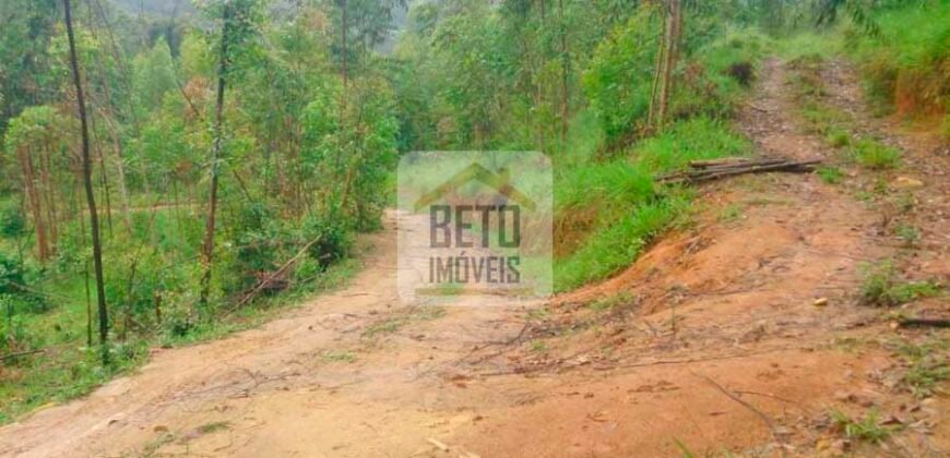 Fazenda/Sítio à Venda, 242.000 m² Trajano de Moraes por R$ 500.000 Fazenda/Sítio à Venda, 242.000 m² Trajano de Moraes por R$ 500.000