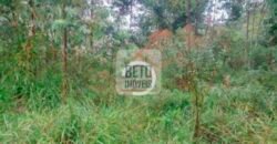 Fazenda/Sítio à Venda, 242.000 m² Trajano de Moraes por R$ 500.000 Fazenda/Sítio à Venda, 242.000 m² Trajano de Moraes por R$ 500.000