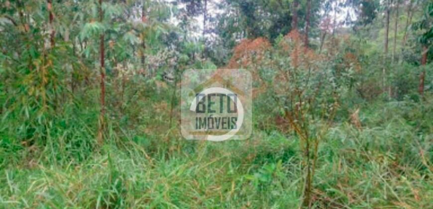 Fazenda/Sítio à Venda, 242.000 m² Trajano de Moraes por R$ 500.000 Fazenda/Sítio à Venda, 242.000 m² Trajano de Moraes por R$ 500.000