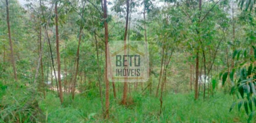 Fazenda/Sítio à Venda, 242.000 m² Trajano de Moraes por R$ 500.000 Fazenda/Sítio à Venda, 242.000 m² Trajano de Moraes por R$ 500.000