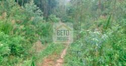 Fazenda/Sítio à Venda, 242.000 m² Trajano de Moraes por R$ 500.000 Fazenda/Sítio à Venda, 242.000 m² Trajano de Moraes por R$ 500.000