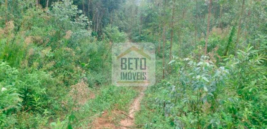 Fazenda/Sítio à Venda, 242.000 m² Trajano de Moraes por R$ 500.000 Fazenda/Sítio à Venda, 242.000 m² Trajano de Moraes por R$ 500.000