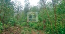 Fazenda/Sítio à Venda, 242.000 m² Trajano de Moraes por R$ 500.000 Fazenda/Sítio à Venda, 242.000 m² Trajano de Moraes por R$ 500.000