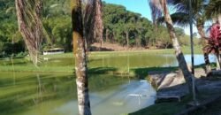 Fazenda/Sítio à Venda, 1.210.000 m² por R$ 3.800.000 Fazenda/Sítio à Venda, 1.210.000 m² por R$ 3.800.000