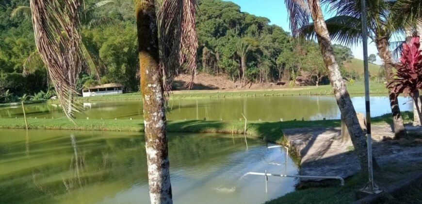 Fazenda/Sítio à Venda, 1.210.000 m² por R$ 3.800.000 Fazenda/Sítio à Venda, 1.210.000 m² por R$ 3.800.000