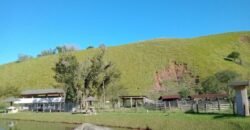 Fazenda/Sítio à Venda, 1.210.000 m² por R$ 3.800.000 Fazenda/Sítio à Venda, 1.210.000 m² por R$ 3.800.000