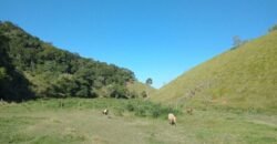 Fazenda/Sítio à Venda, 1.210.000 m² por R$ 3.800.000 Fazenda/Sítio à Venda, 1.210.000 m² por R$ 3.800.000