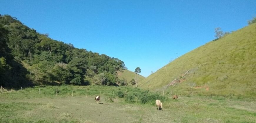 Fazenda/Sítio à Venda, 1.210.000 m² por R$ 3.800.000 Fazenda/Sítio à Venda, 1.210.000 m² por R$ 3.800.000
