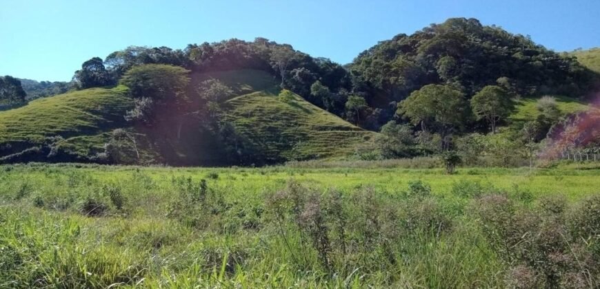 Fazenda/Sítio à Venda, 1.210.000 m² por R$ 3.800.000 Fazenda/Sítio à Venda, 1.210.000 m² por R$ 3.800.000