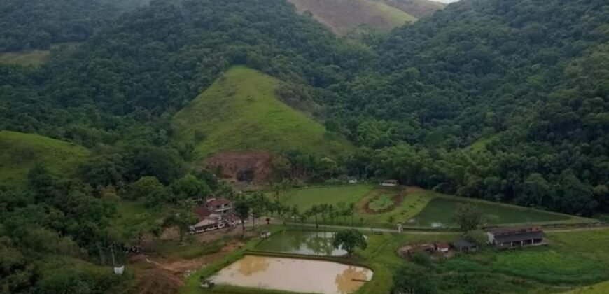 Fazenda/Sítio à Venda, 1.210.000 m² por R$ 3.800.000 Fazenda/Sítio à Venda, 1.210.000 m² por R$ 3.800.000