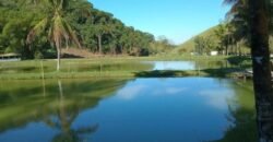 Fazenda/Sítio à Venda, 1.210.000 m² por R$ 3.800.000 Fazenda/Sítio à Venda, 1.210.000 m² por R$ 3.800.000