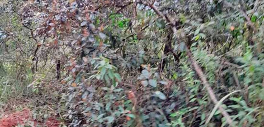 Fazenda c/ 370 alqueires à Venda em Casimiro de Abreu RJ