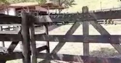 Fazenda c/ 370 alqueires à Venda em Casimiro de Abreu RJ