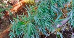 Fazenda c/ 370 alqueires à Venda em Casimiro de Abreu RJ