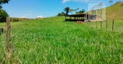 Fazenda com 9 alquieres à Venda em Carapebus RJ