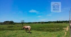 Fazenda com 9 alquieres à Venda em Carapebus RJ