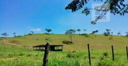 Fazenda com 9 alquieres à Venda em Carapebus RJ